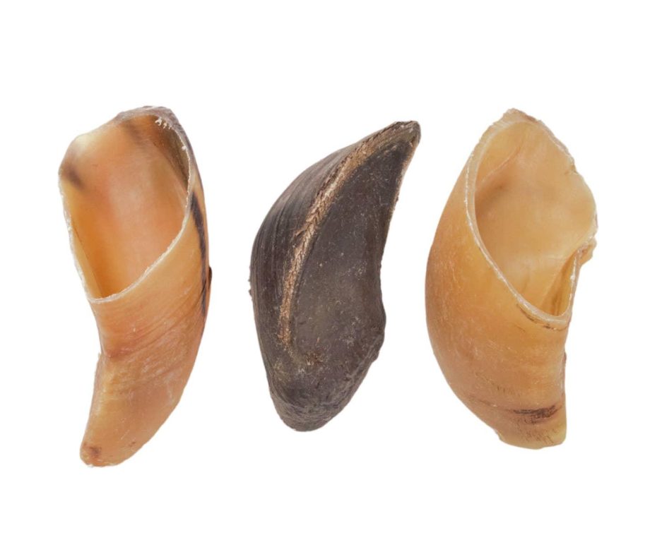 All-Natural Cow Hooves Dog Chews (25/case)
